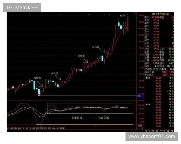本月全球博彩平台使用经验总结与全流程实战指南解析与风险控制策略